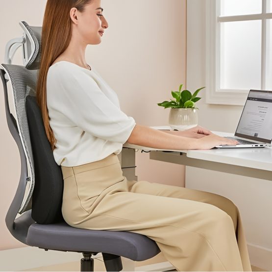 SitWell Spine: Car & Office Chair Lumbar Support Cushion with Soft fabric | 3 second bounce back memory foam